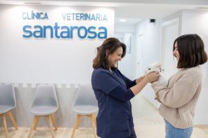 clinicas esterilizar gatos cordoba Clínica Veterinaria Santa Rosa