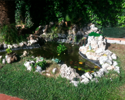 Si desea un bonito estanque en su jardín, Jardinería y Paisajismo Moisés J. León diseñará su estanque e incluso le ofrecerá su posterior mantenimiento.